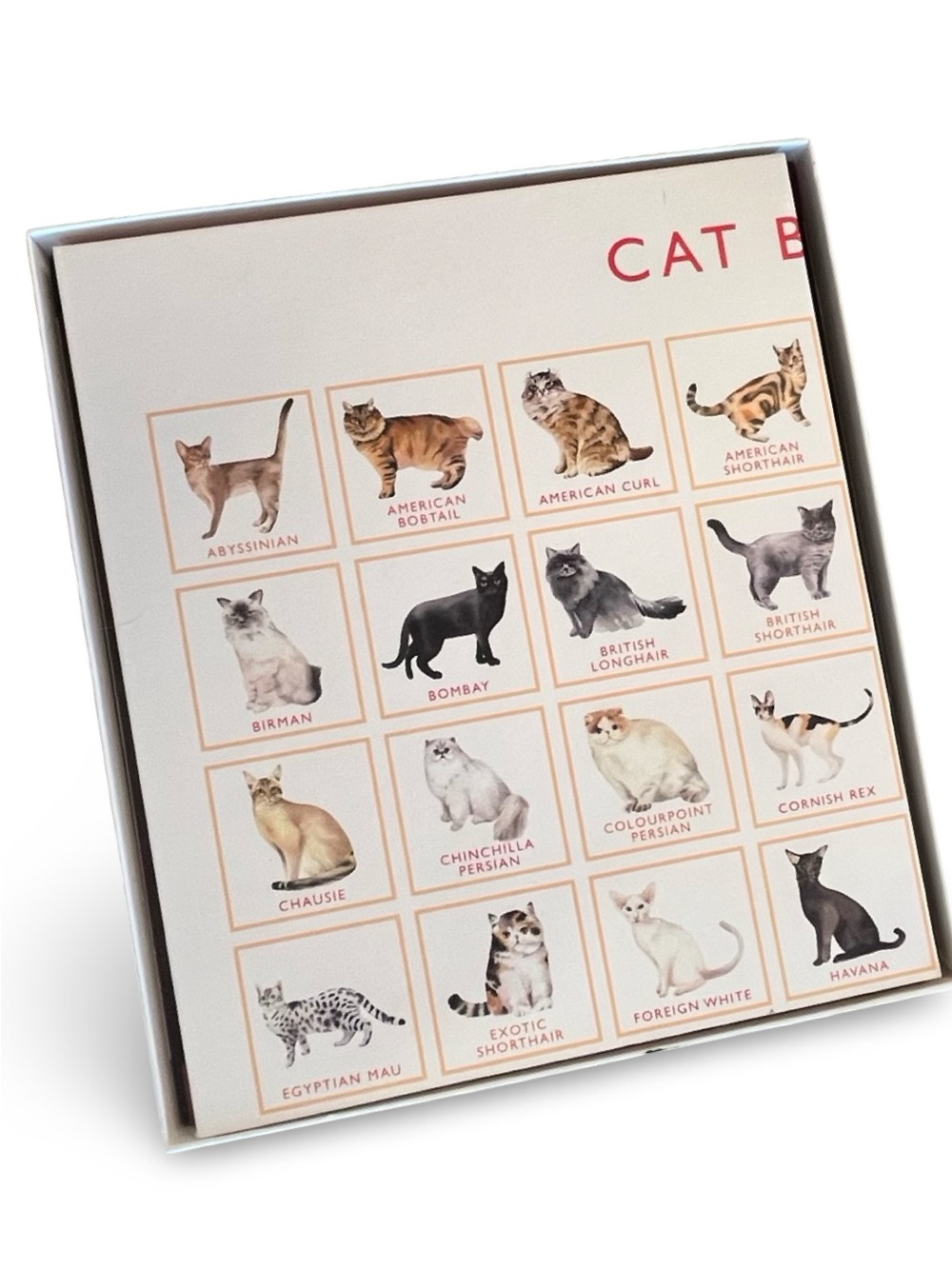 Cat Bingo Game - Picture 8 of 8